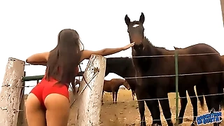 Boy around with annoy Mr Big hot Daughter Pony Whisperer - Astounding Body Latina! 10  Ass!